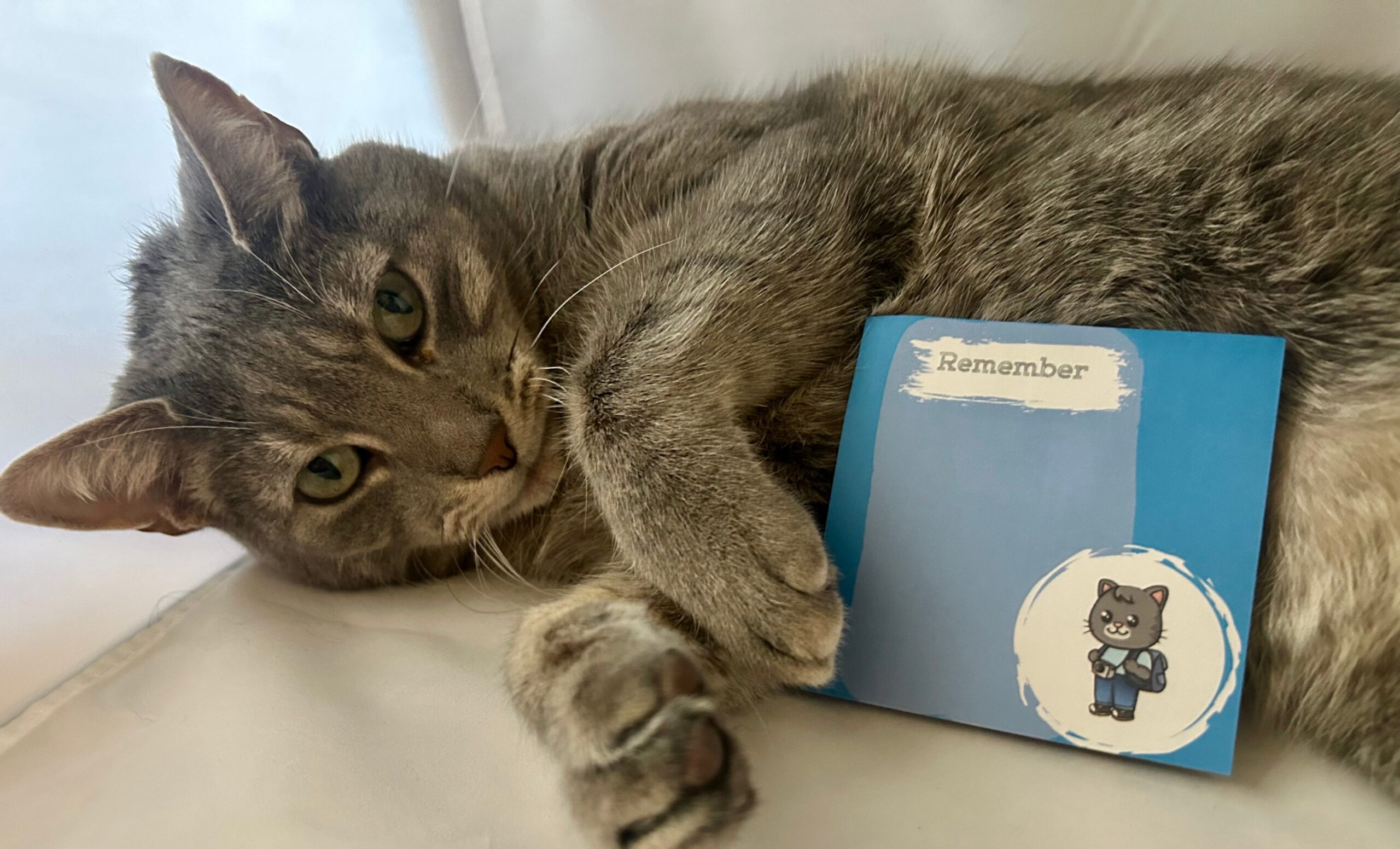 Skimble the Cat sticky notes alternate view