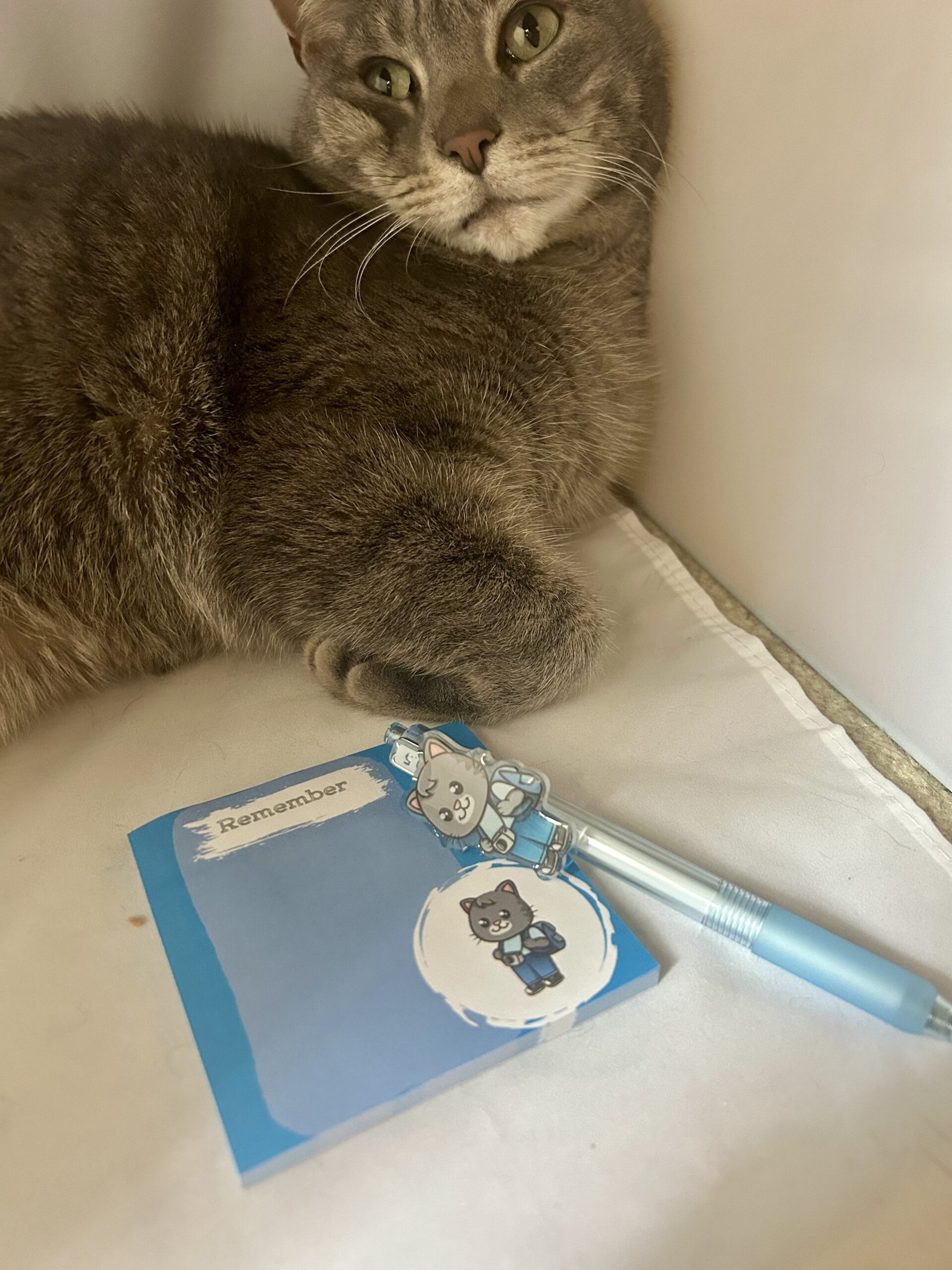 Skimble the Cat ballpoint pen in hand