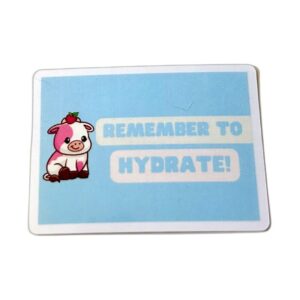Remember to Hydrate cute reminder vinyl sticker